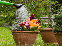 Bricolage & Jardinage